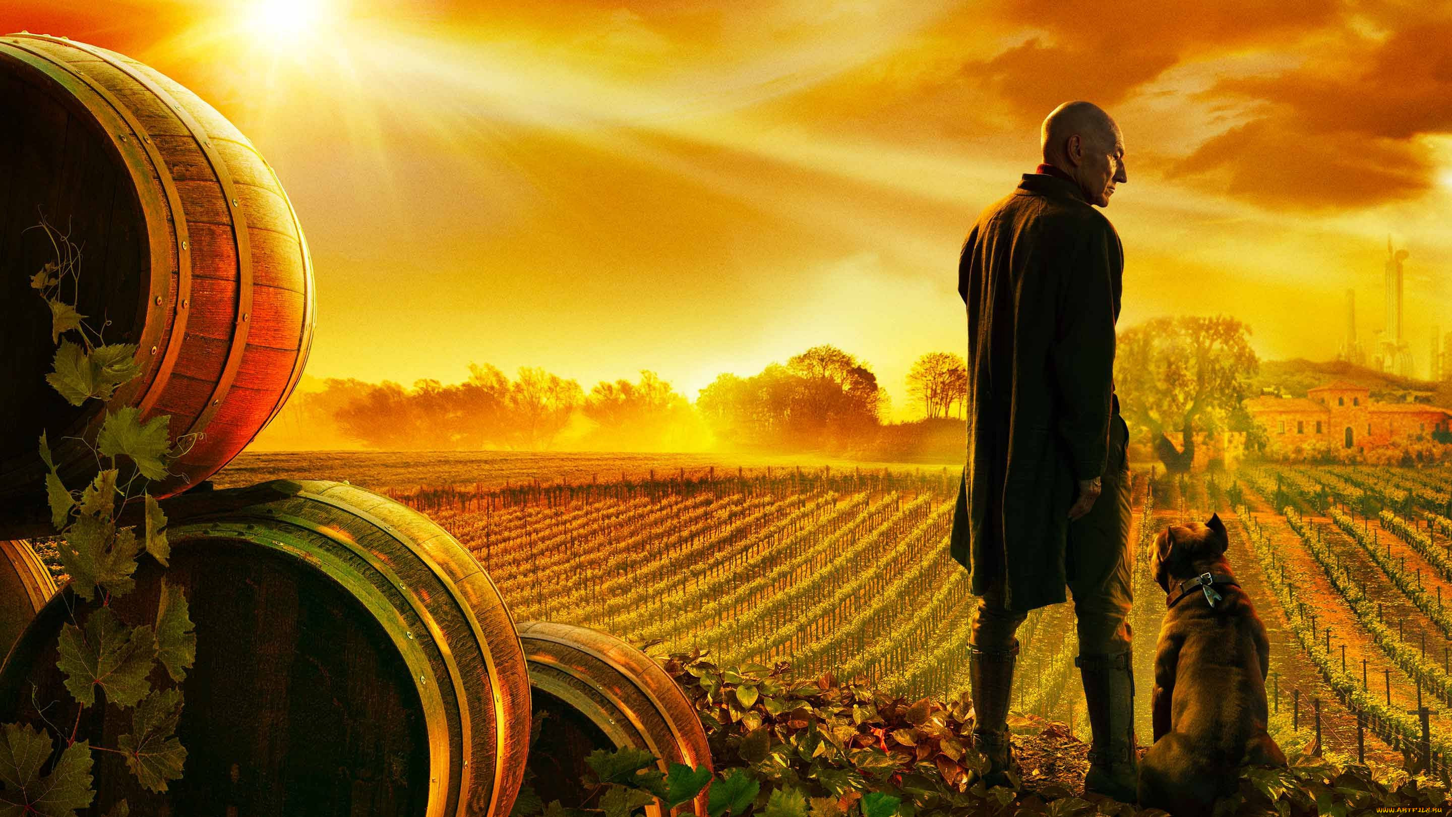 star trek,  picard ,  2020  ,  , , star, trek, picard, patrick, stewart, , , , , , 